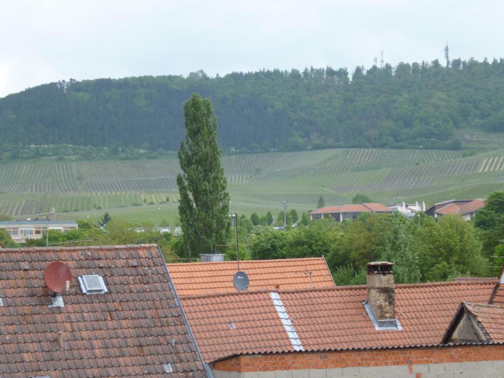Hotel Garni Zum Hirschen Iphofen Luaran gambar